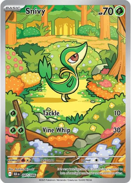 Snivy #87 Black Bolt