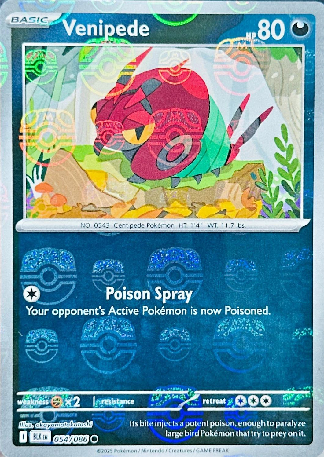 Venipede [Master Ball] #54 Black Bolt